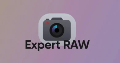 Expert RAW